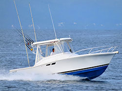 Puerto Vallarta Fishing Charter
