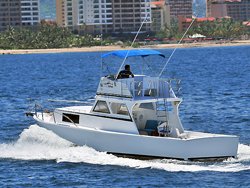 custom vallarta fishing cruiser