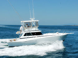 Puerto Vallarta Yacht Charter